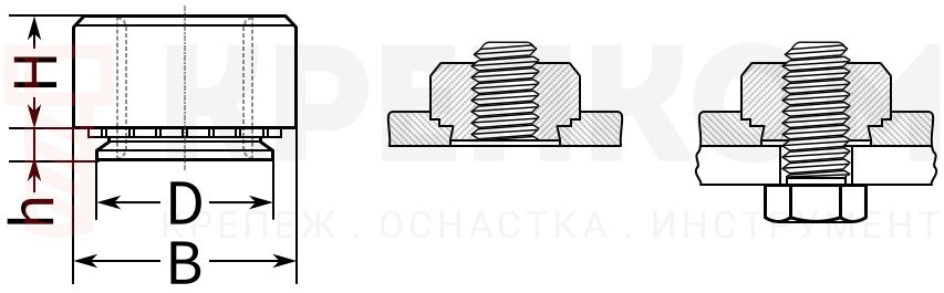 Гайка запрессовочная М8х1,25 мм, лист 0,8 мм 30302 Гайка запрессовочная М8х1,25 мм, лист 0,8 мм 30302 - схема