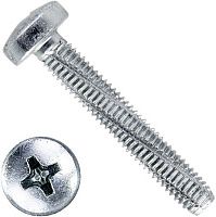 Винт самонарезающий М6х12 DIN 7516 A с полукруглой головкой, оцинкованная сталь Винт самонарезающий М6х12 DIN 7516 A с полукруглой головкой, оцинкованная сталь