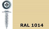 Саморез-клоп острый 4,2х19 окрашенный, RAL 1014 (слоновая кость) Саморез-клоп острый 4,2х19 окрашенный, RAL 1014 (слоновая кость)