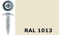 Саморез-клоп острый 4,2х19 окрашенный, RAL 1013 (жемчужно-белый) Саморез-клоп острый 4,2х19 окрашенный, RAL 1013 (жемчужно-белый)