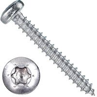 Саморез с полукруглой головкой 5,5х55 T10 DIN 7981 (ISO 7049) форма C, нержавеющая сталь А4 Саморез с полукруглой головкой 5,5х55 T10 DIN 7981 (ISO 7049) форма C, нержавеющая сталь А4