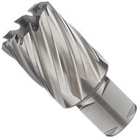 Cверло по металлу корончатое 31х63 мм Weldon19 HSSM2 Профоснастка 40102025, глубина сверления 30 мм Cверло по металлу корончатое 31х63 мм Weldon19 HSSM2 Профоснастка 40102025, глубина сверления 30 мм