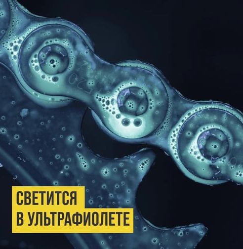 Мотосмазка для цепей внедорожных мотоциклов OFFROAD ВМПАВТО 8408, 400 мл флакон аэрозоль - фото