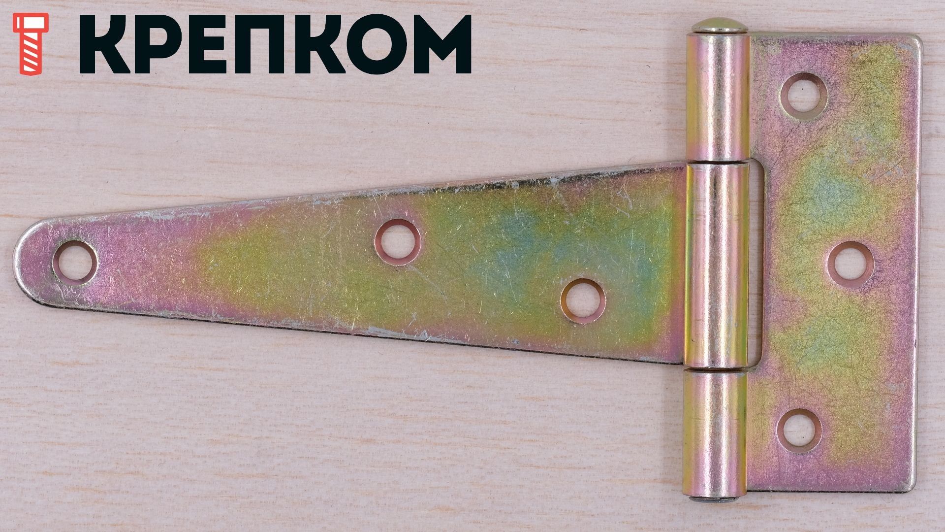 Петля для калиток, сундуков и небольших дверей Domax ZT - фото