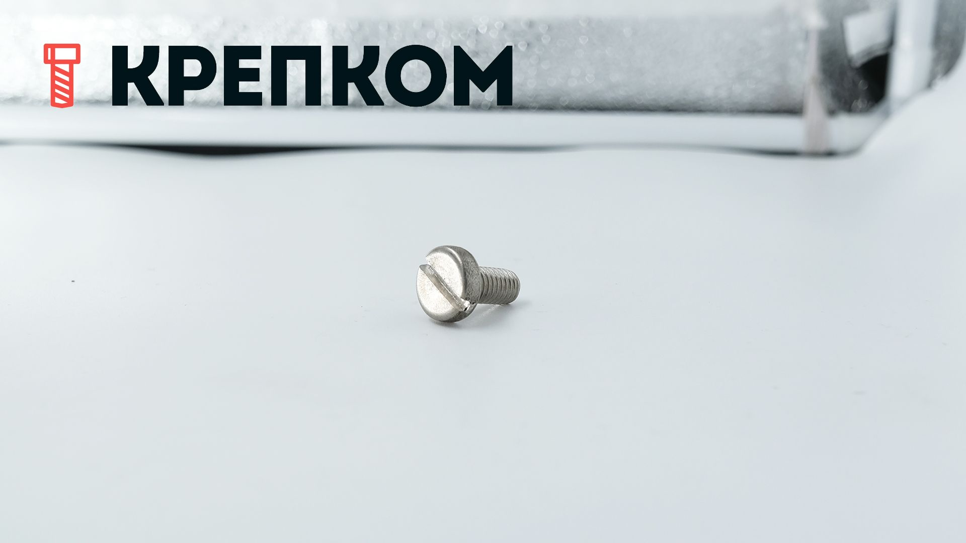 Винт с прямым шлицем DIN 85, нержавеющая сталь А4 - фото