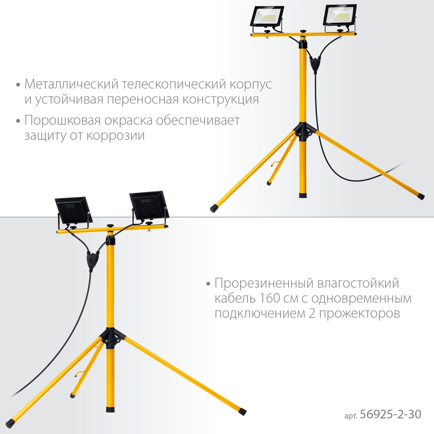 Прожекторы светодиодные 2х30 Вт на штативе Led-Max Stayer 56925-2-30 - фото
