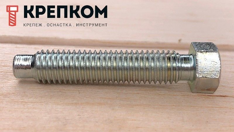 Болт установочный DIN 561 с шестигранной уменьшенной головкой и цапфой, класс прочности 8.8 (форма A и B) оцинкованная сталь - фото