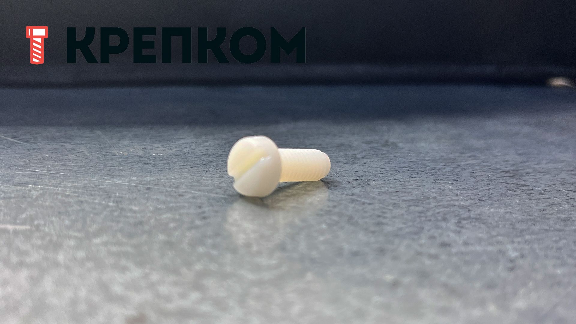 Винт с прямым шлицем М6х16 DIN 85, пластик - фото