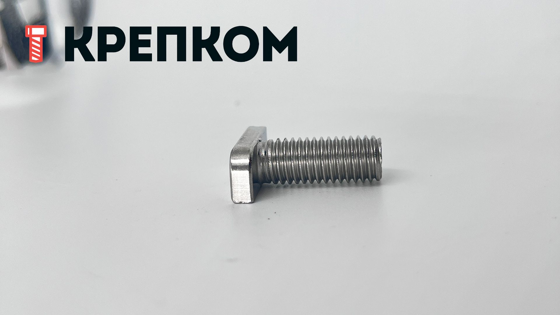 Болт Т-образный  М10х25 мм WS 9664, нержавеющая сталь А2 - фото