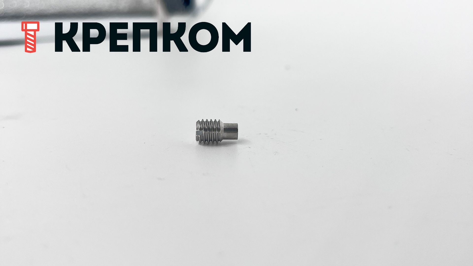 Винт установочный М12х20 DIN 417 с цапфой, нержавеющая сталь А2 - фото