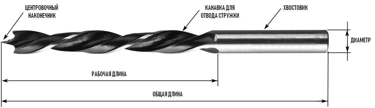 Набор спиральных сверл по дереву 4-10 мм, 4 шт сталь 60, ЗУБР 29421-H4, М-образная заточка - фото