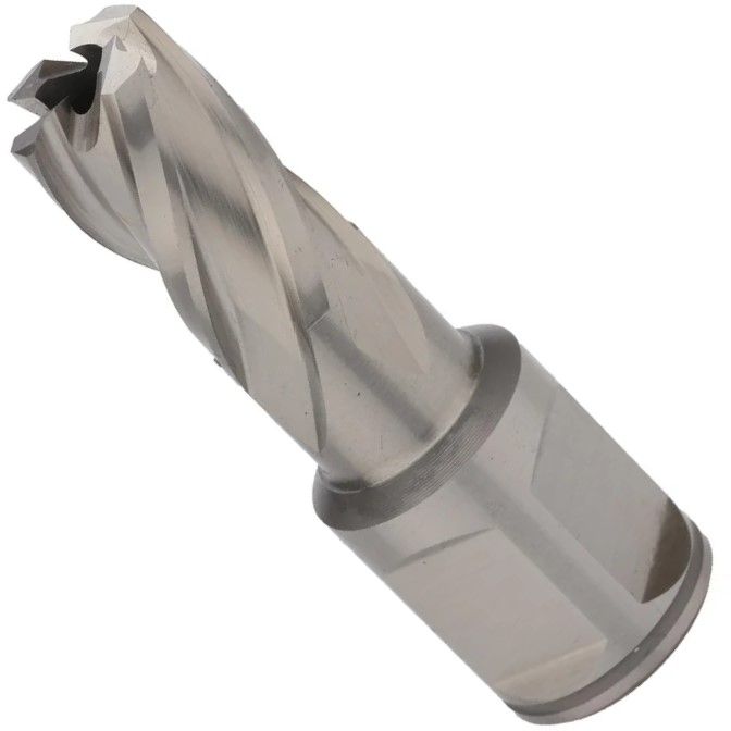 Сверло корончатое по металлу, глубина сверления 30 мм Weldon 19 HSS-G Terrax by Ruko  - фото