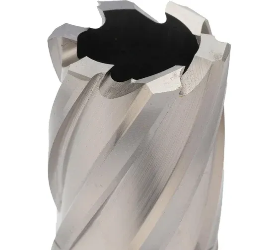 Сверло корончатое по металлу, глубина сверления 30 мм Weldon 19 HSS-G Terrax by Ruko  - фото