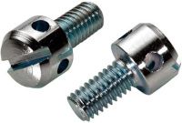 Винт пломбировочный М4х16 DIN 404, класс прочности 5.8, оцинкованная сталь