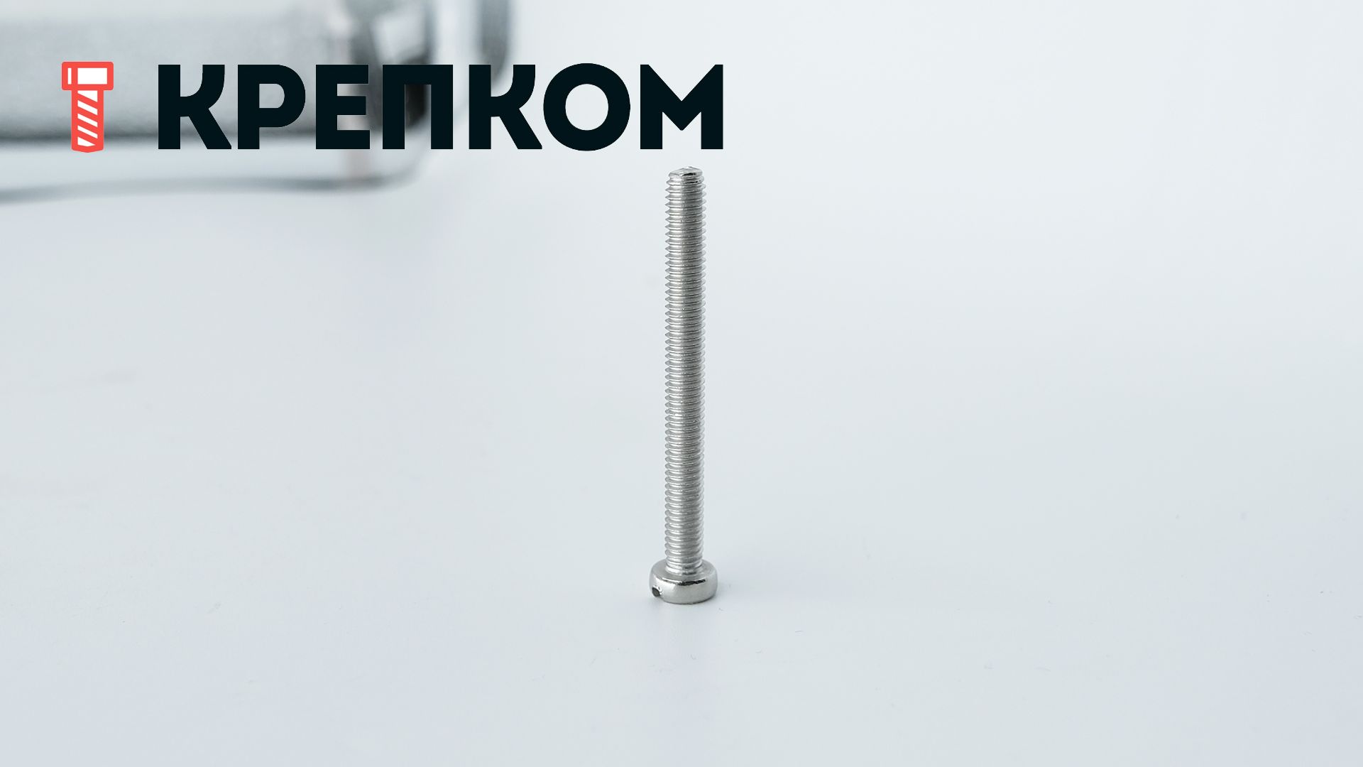 Винт с цилиндрической головкой DIN 84, нержавеющая сталь А4 - фото