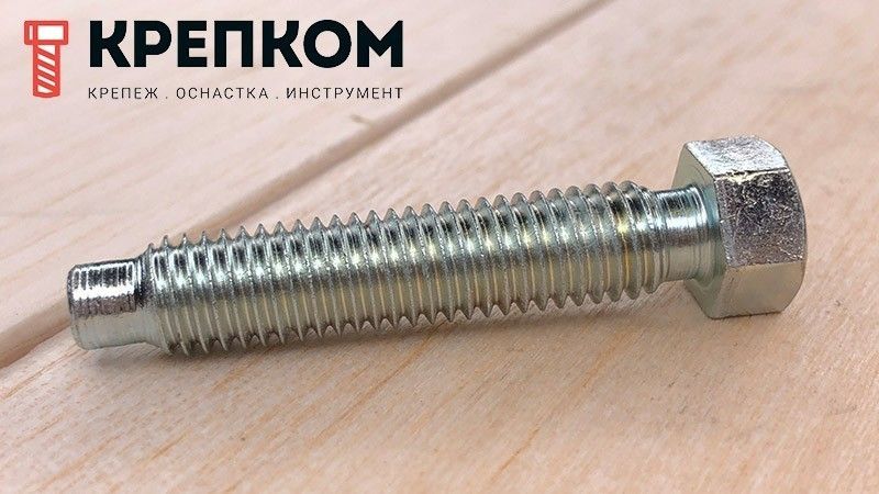 Болт установочный DIN 561 с шестигранной уменьшенной головкой и цапфой, класс прочности 8.8 (форма A и B) оцинкованная сталь - фото