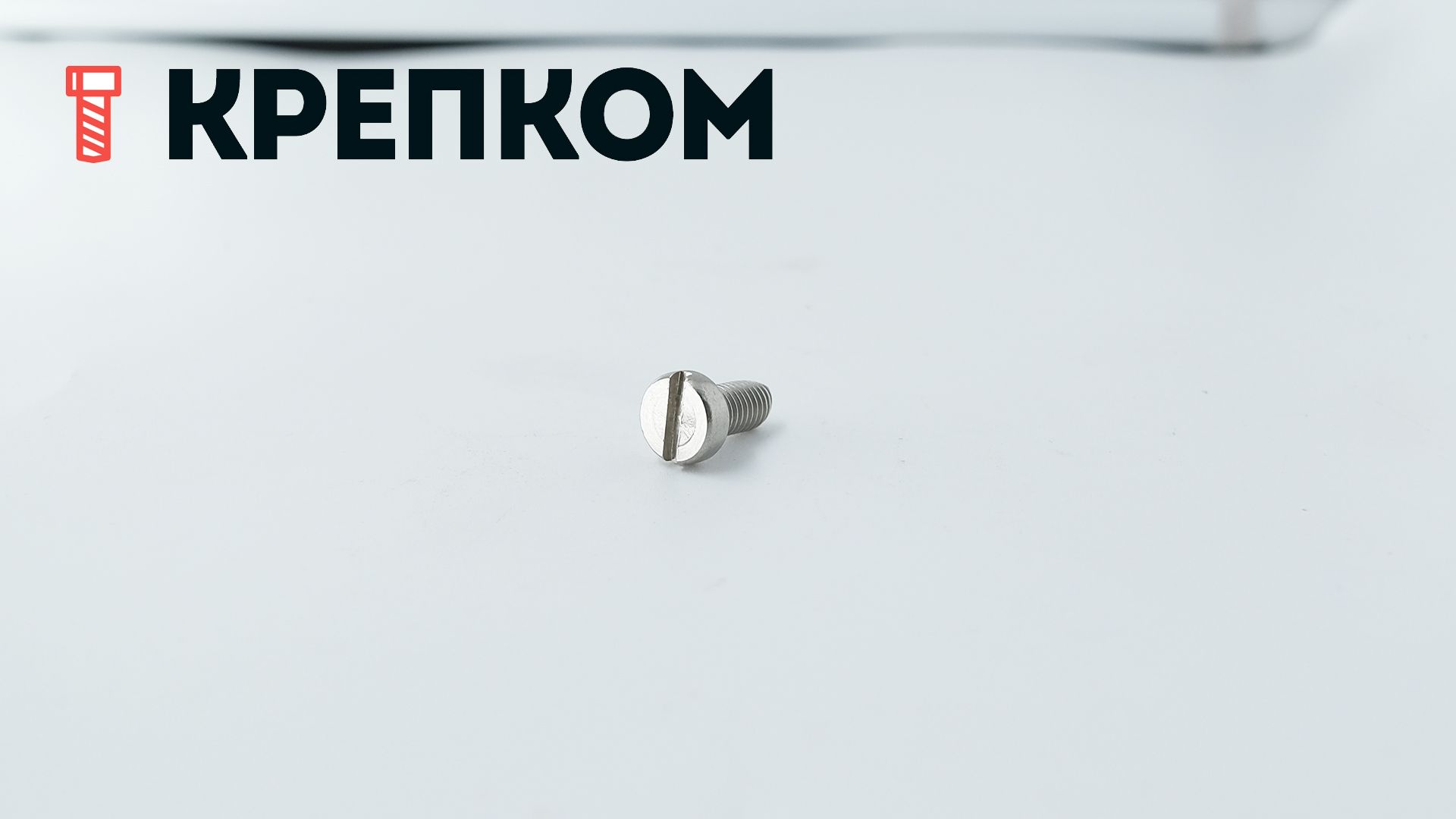 Винт с цилиндрической головкой DIN 84, нержавеющая сталь А4 - фото