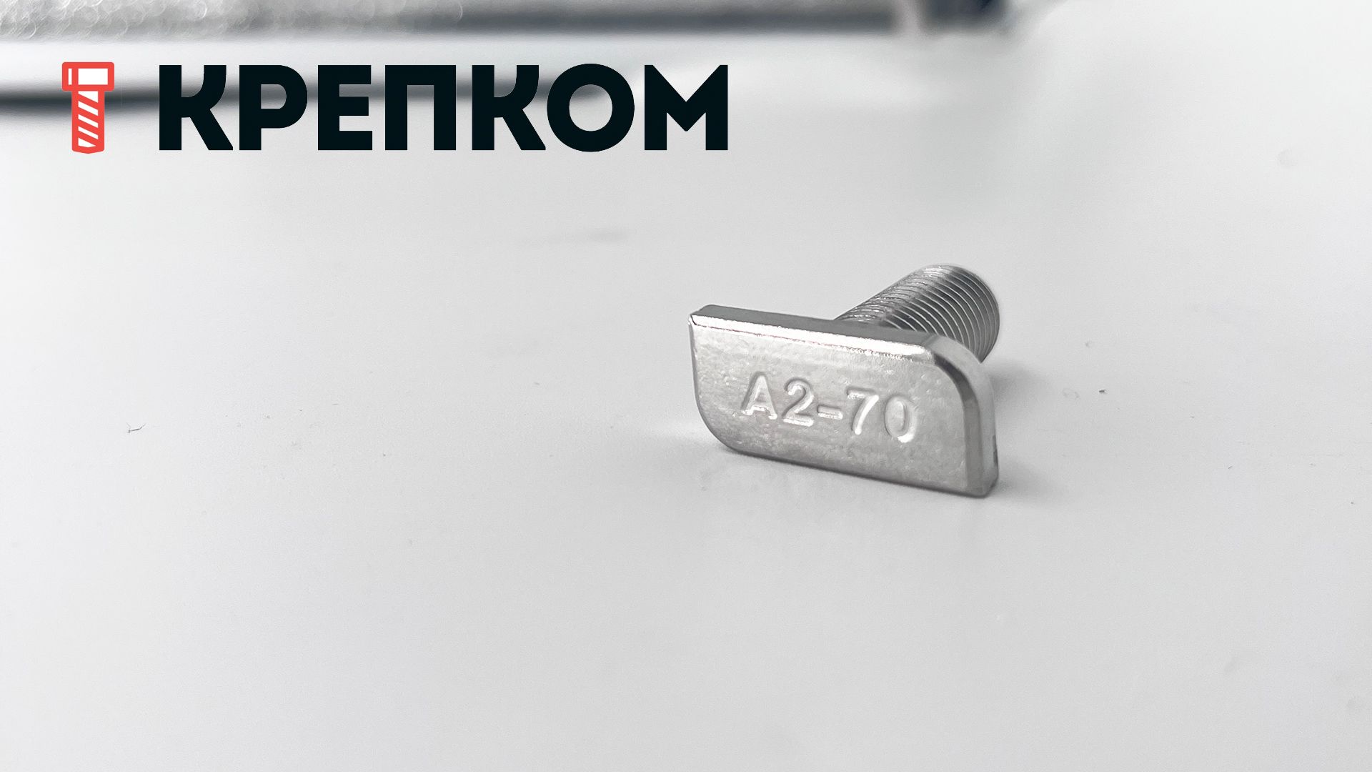 Болт Т-образный  М10х25 мм WS 9664, нержавеющая сталь А2 - фото