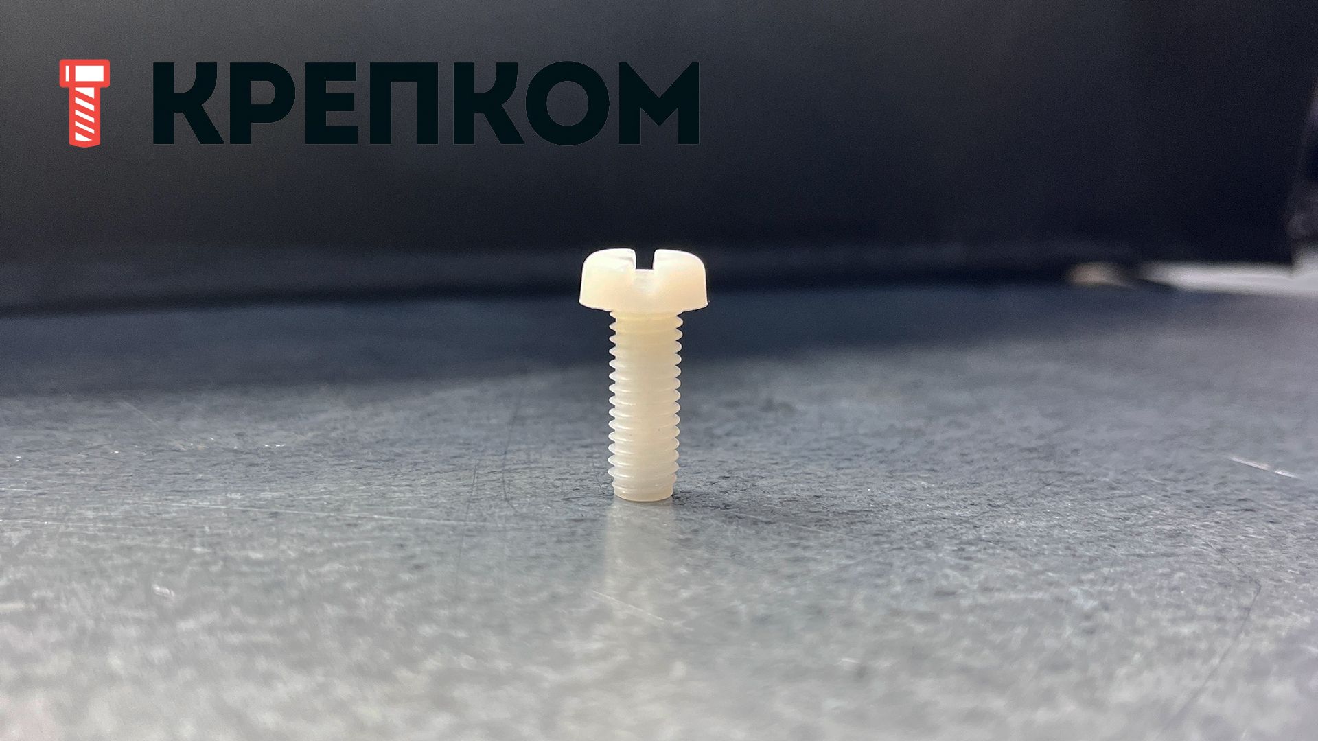 Винт с прямым шлицем М6х16 DIN 85, пластик - фото