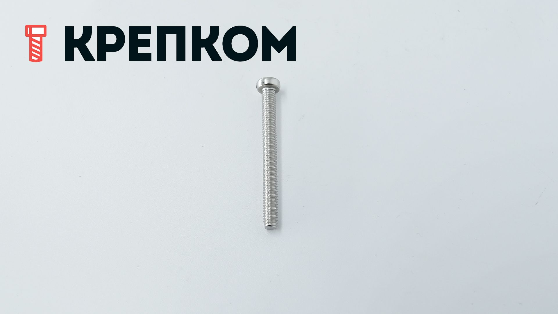 Винт с цилиндрической головкой DIN 84, нержавеющая сталь А4 - фото