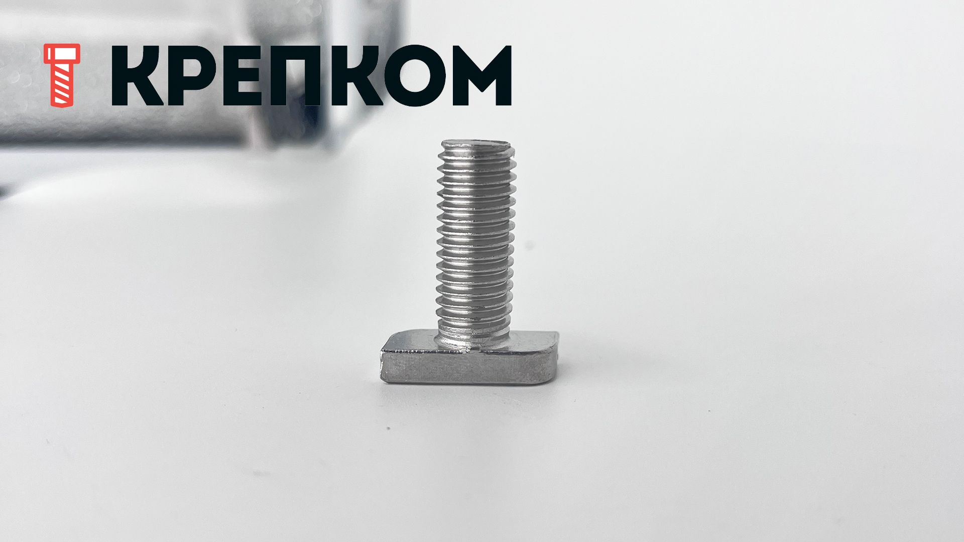 Болт Т-образный  М10х25 мм WS 9664, нержавеющая сталь А2 - фото