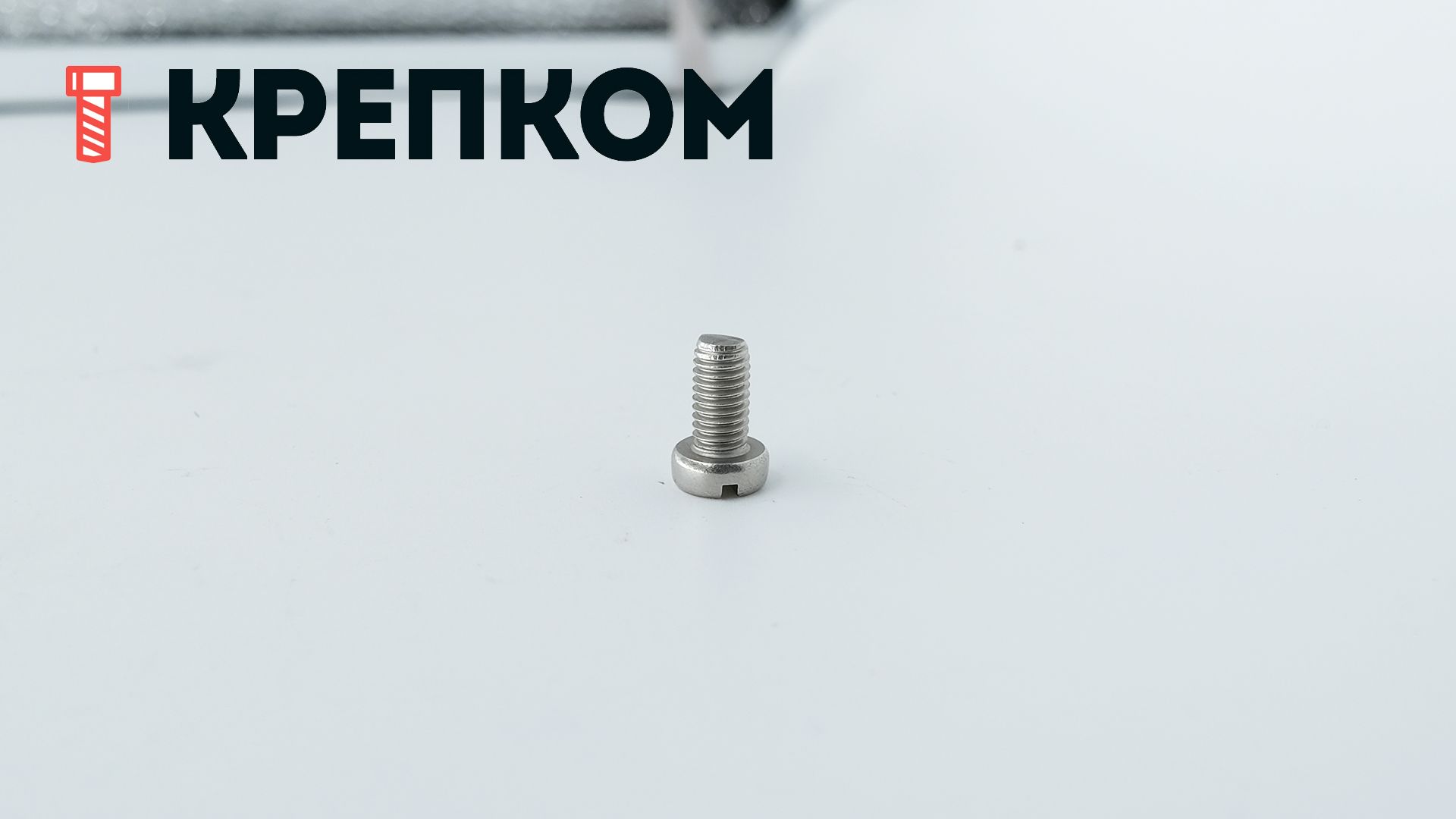 Винт с цилиндрической головкой DIN 84, нержавеющая сталь А4 - фото