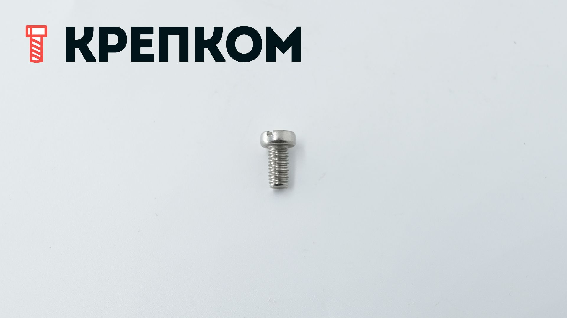 Винт с цилиндрической головкой DIN 84, нержавеющая сталь А4 - фото
