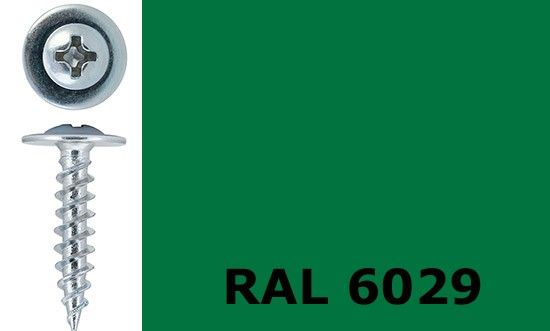 Саморез-клоп острый 4,2х25 окрашенный, RAL 6029 (мятно-зелёный) - фото