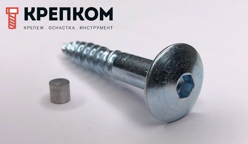 Антивандальный шуруп (саморез) 88110 с внутренним шестигранником и заглушкой от выкручивания