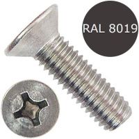 Винт потай М6х12 DIN 965 (ISO 7046), нержавеющая сталь А2, RAL 8019