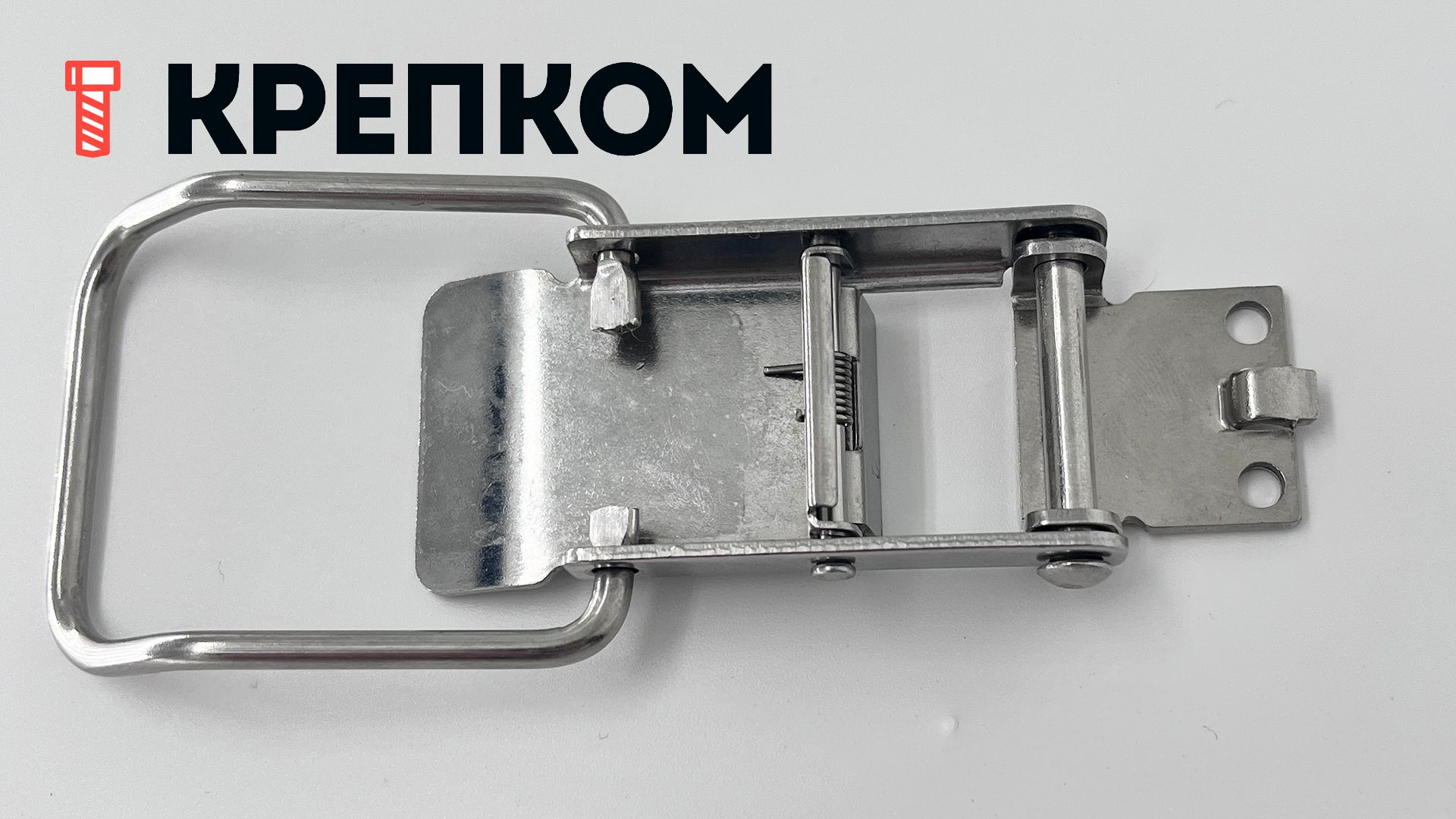 Замок-защелка самозапирающийся L=66 B97C, нержавеющая сталь А2 - фото