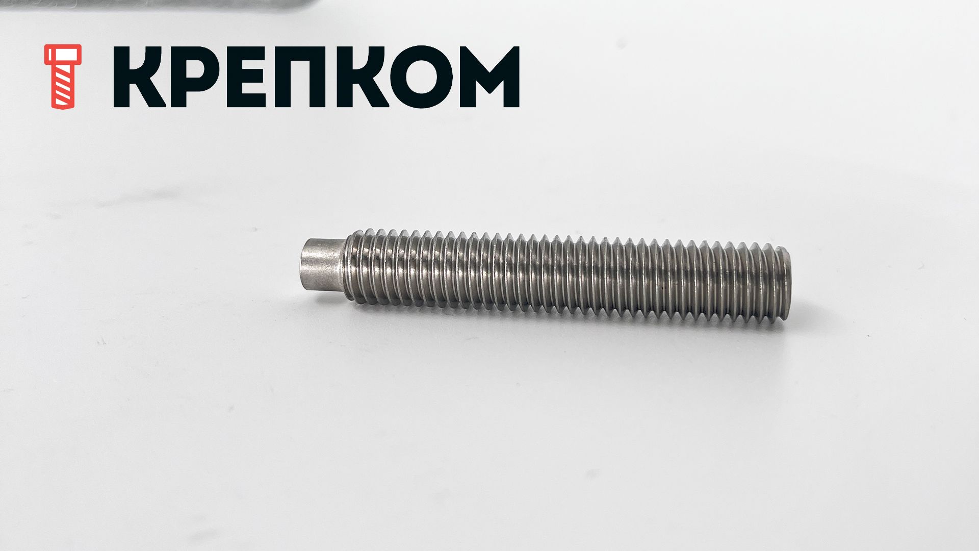 Винт установочный М8х30 DIN 915 (ISO 4028) с цапфой, нержавеющая сталь А2 - фото