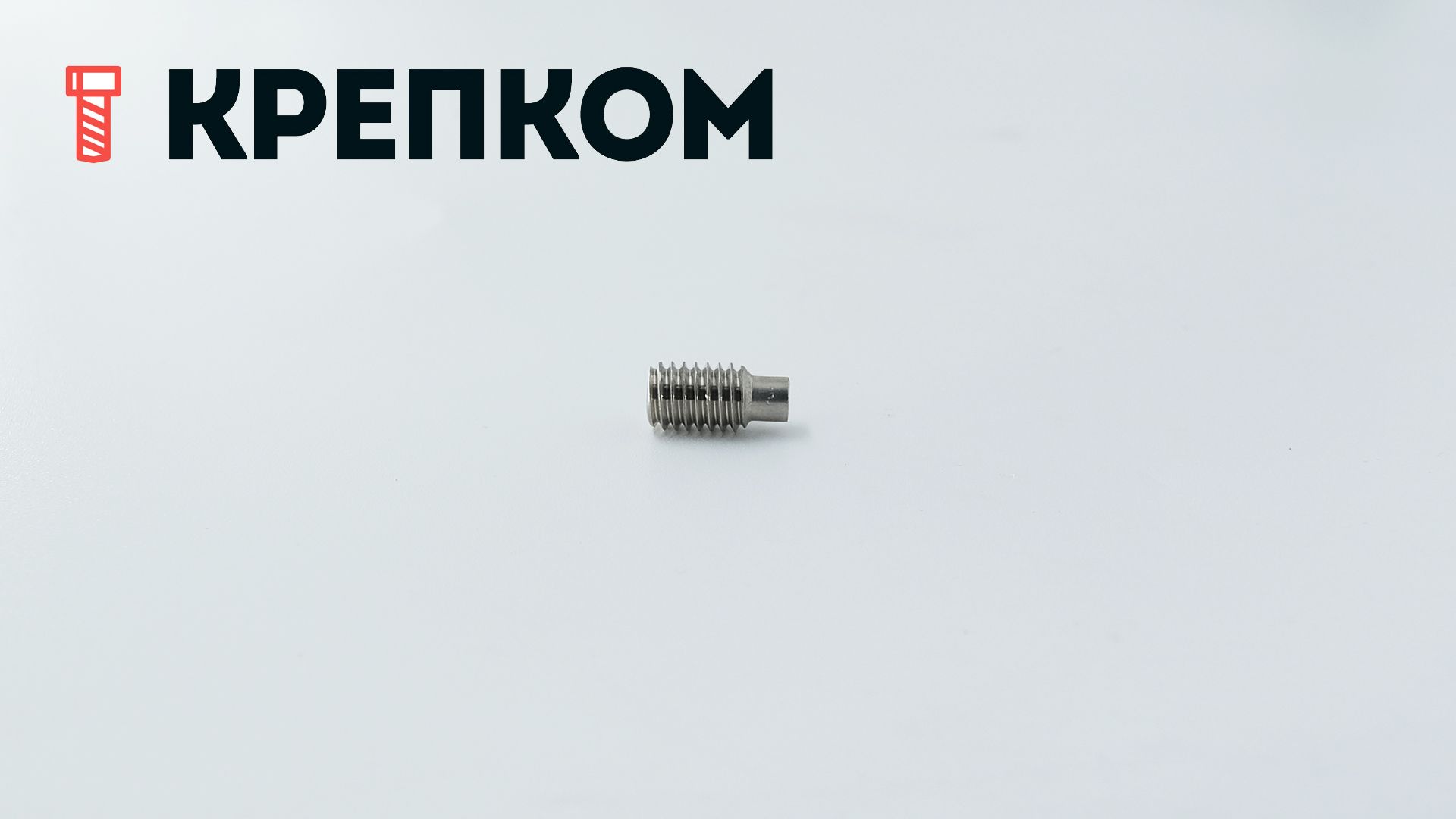 Винт установочный М6х12 DIN 915 (ISO 4028) с цапфой, нержавеющая сталь А4 - фото