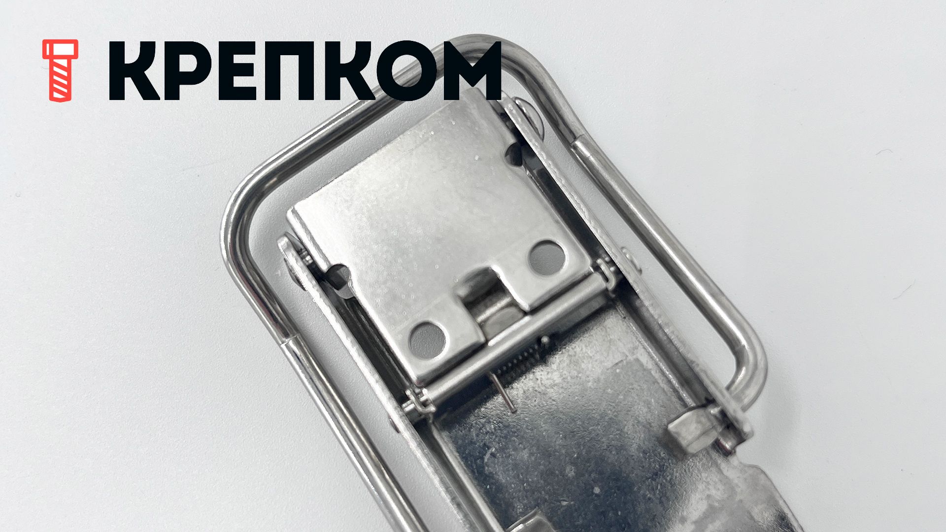 Замок-защелка самозапирающийся L=66 B97C, нержавеющая сталь А2 - фото