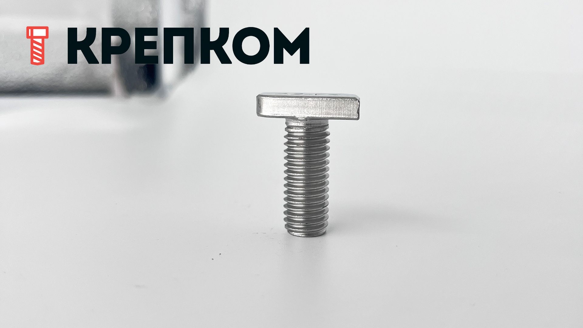 Болт Т-образный  М10х25 мм WS 9664, нержавеющая сталь А2 - фото