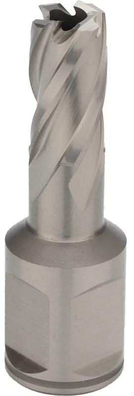 Сверло корончатое по металлу, глубина сверления 30 мм Weldon 19 HSS-G Terrax by Ruko  - фото