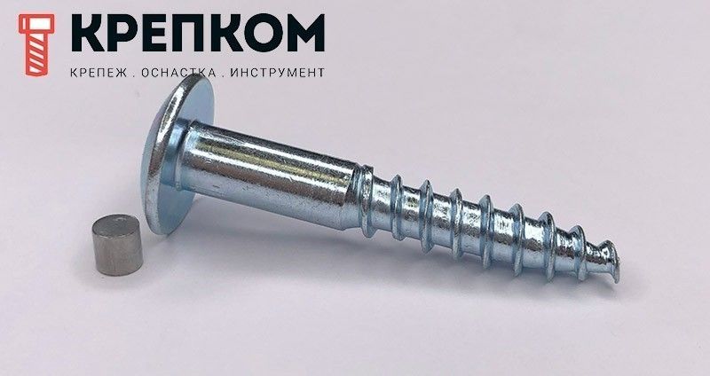 Антивандальный шуруп (саморез) 88110 с внутренним шестигранником и заглушкой от выкручивания