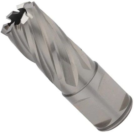 Сверло корончатое по металлу, глубина сверления 30 мм Weldon 19 HSS-G Terrax by Ruko  - фото