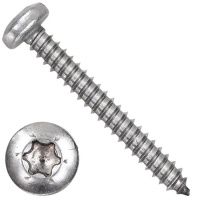 Саморез с полукруглой головкой 4х30 T20, ISO 14585 (DIN 7981) форма C, нержавеющая сталь А2