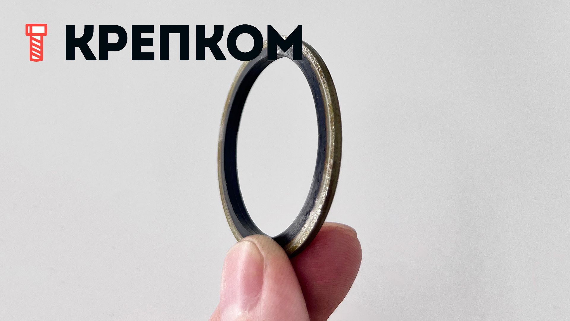 Шайба обрезиненная топливной системы двигателя DFL-4181A, DFL-4251A - фото