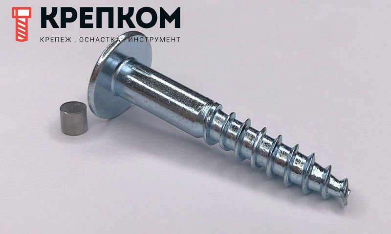Антивандальный шуруп (саморез) 88110 с внутренним шестигранником и заглушкой от выкручивания
