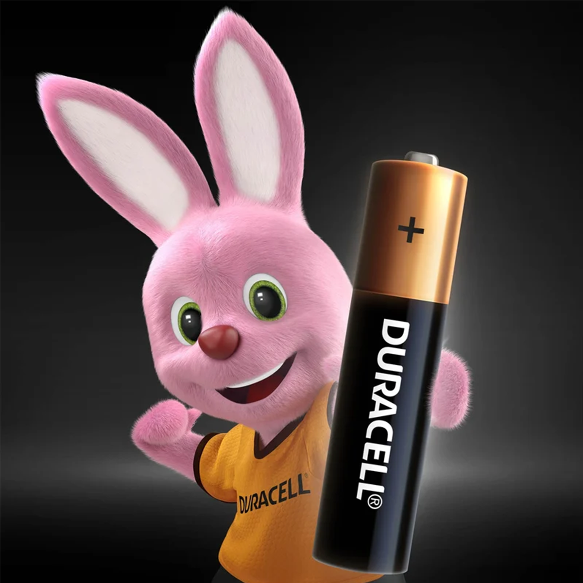 Батарейка Duracell LR6 BL4 16114 - фото