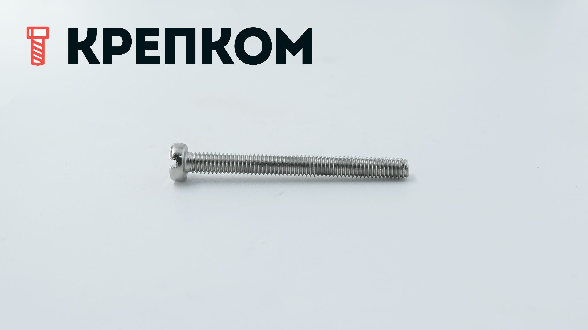 Винт с цилиндрической головкой DIN 84, нержавеющая сталь А4 - фото