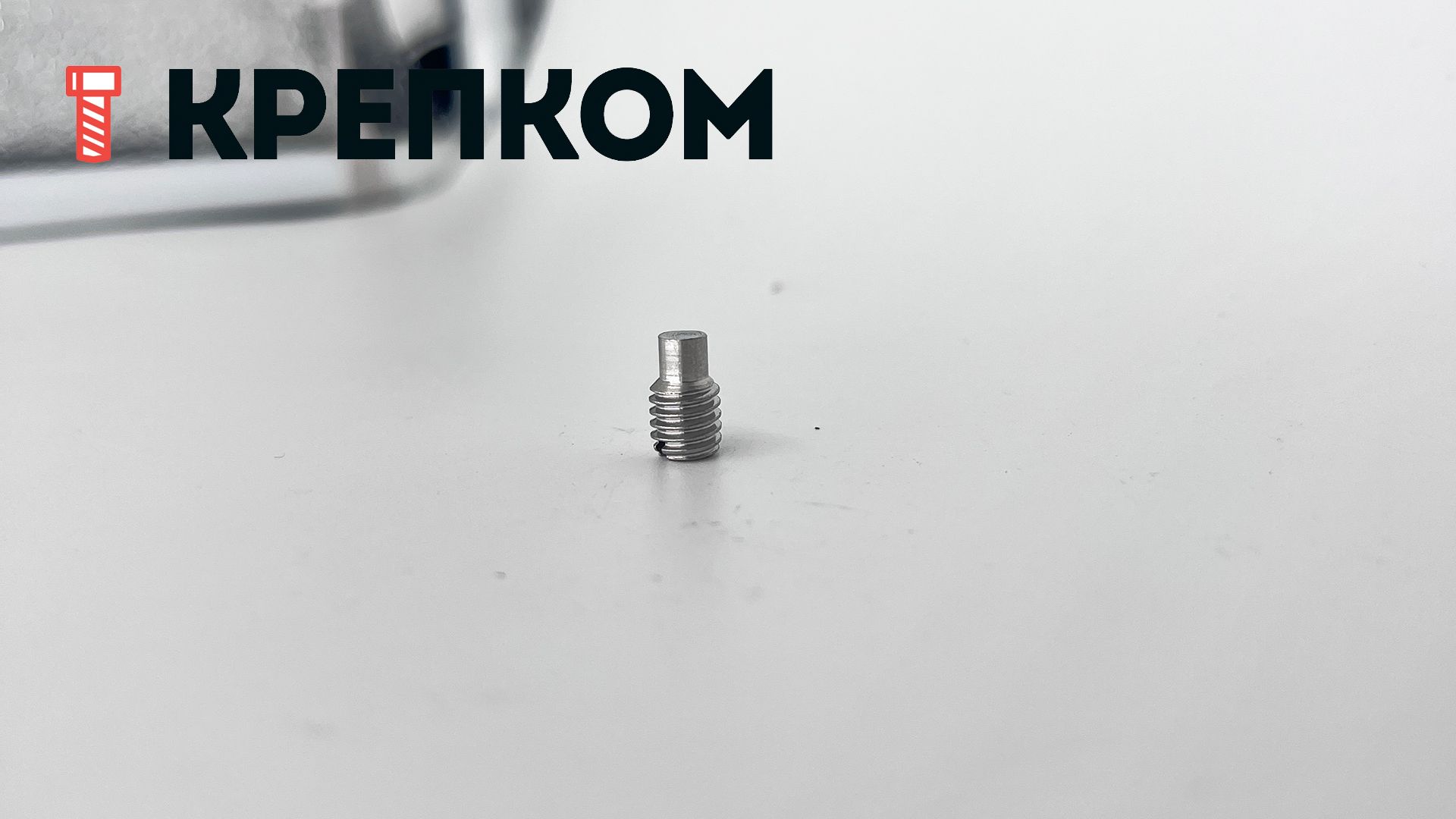 Винт установочный М12х20 DIN 417 с цапфой, нержавеющая сталь А2 - фото