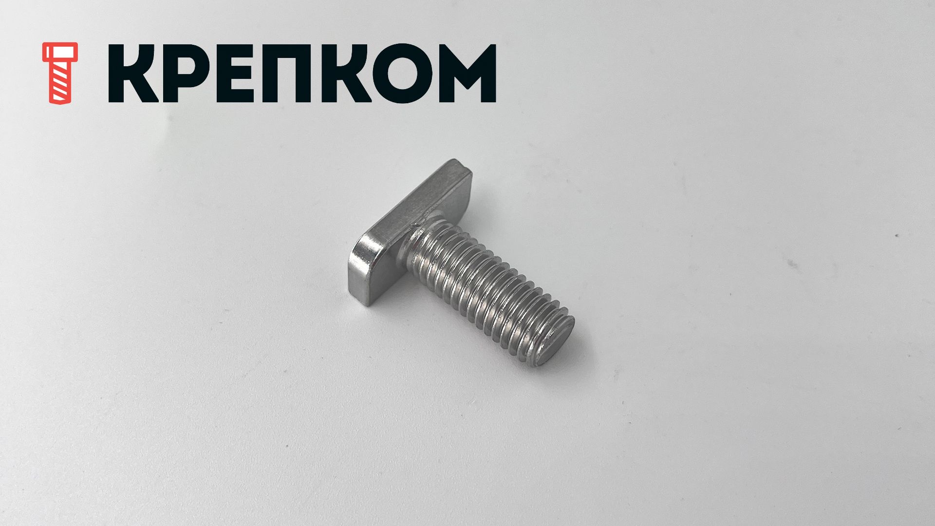 Болт Т-образный  М10х25 мм WS 9664, нержавеющая сталь А2 - фото