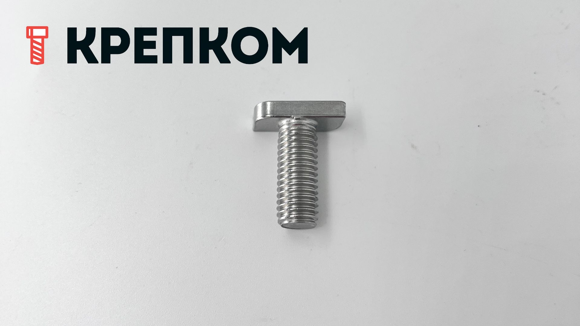 Болт Т-образный  М10х25 мм WS 9664, нержавеющая сталь А2 - фото