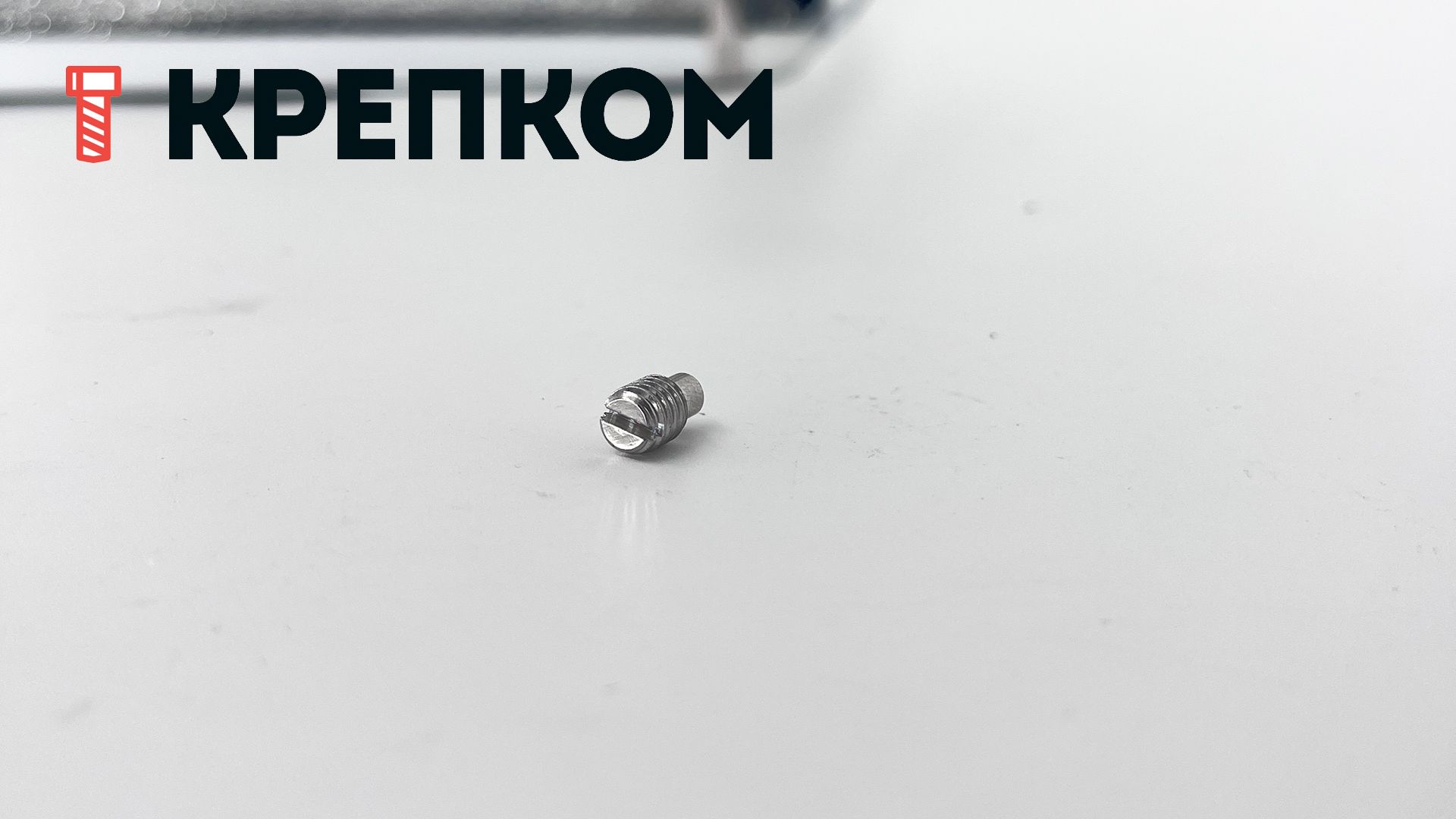 Винт установочный М12х20 DIN 417 с цапфой, нержавеющая сталь А2 - фото