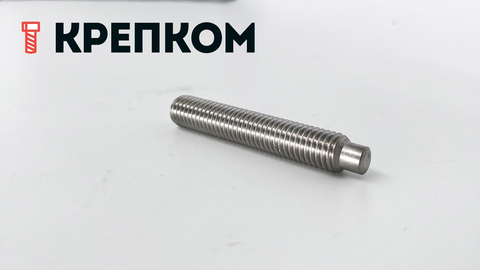 Винт установочный М8х30 DIN 915 (ISO 4028) с цапфой, нержавеющая сталь А2 - фото