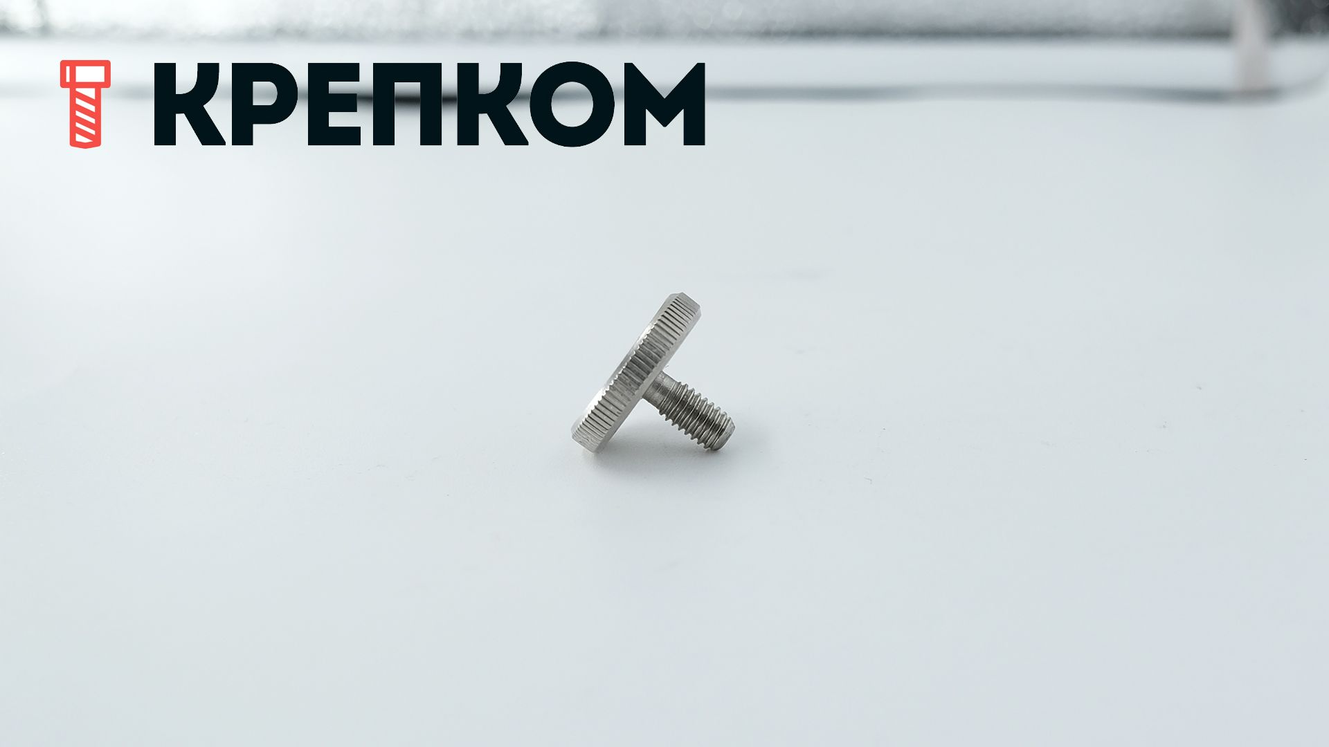 Винт прижимной низкий DIN 653 М4х8, нержавеющая сталь А1 - фото