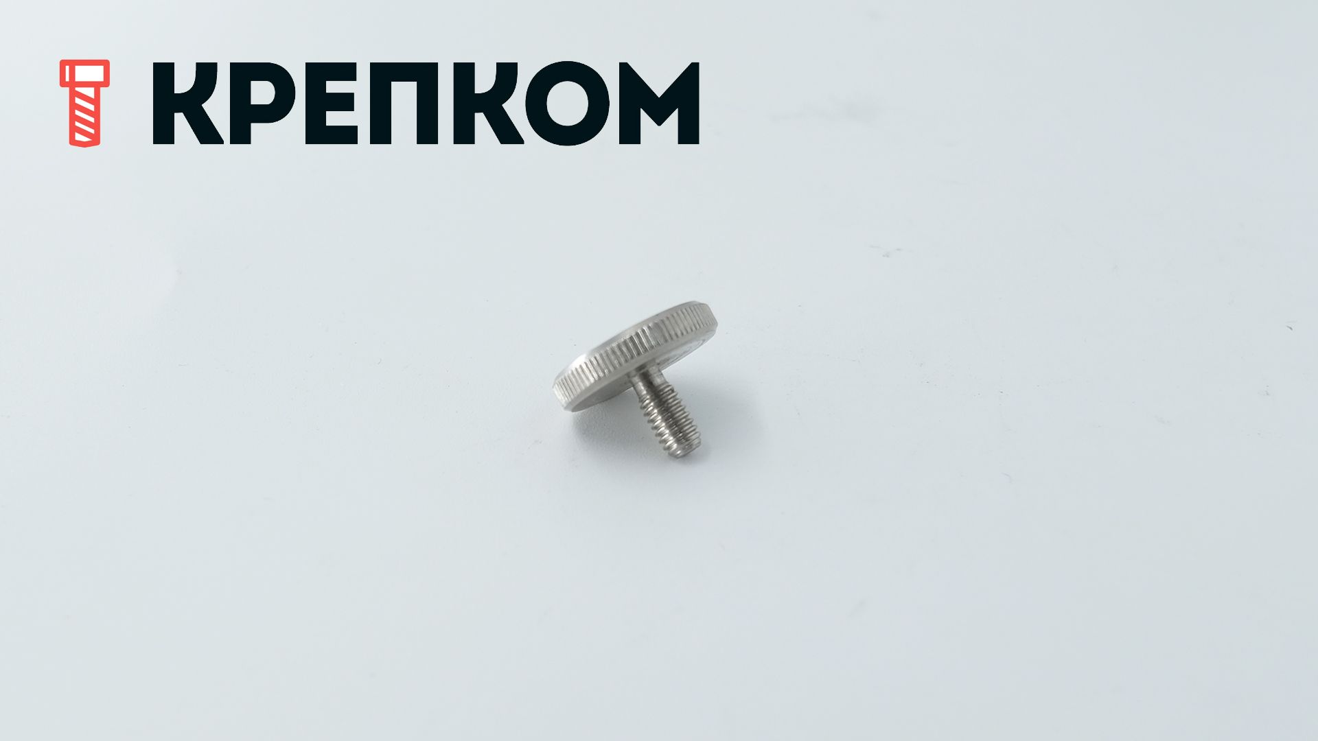 Винт прижимной низкий DIN 653 М4х8, нержавеющая сталь А1 - фото